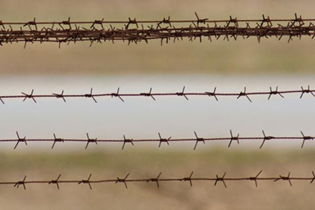 Россия начала обносить границу с Украиной колючей проволокой Россия начала обносить границу с Украиной колючей проволокой