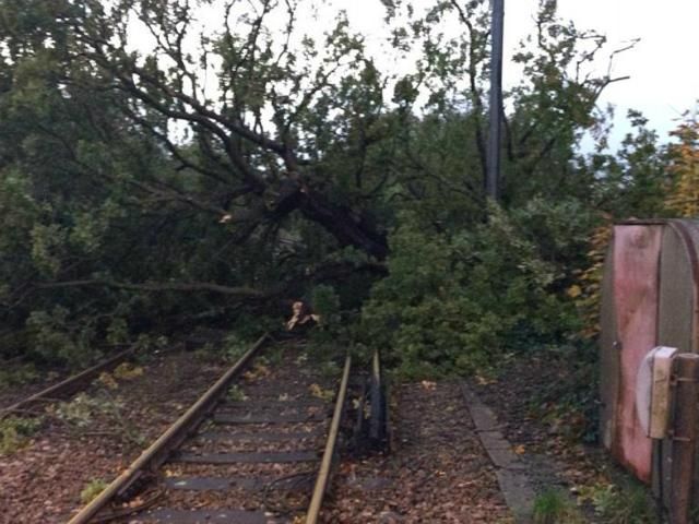 В Амстердаме остановились трамваи из-за сильной бури В Амстердаме остановились трамваи из-за сильной бури