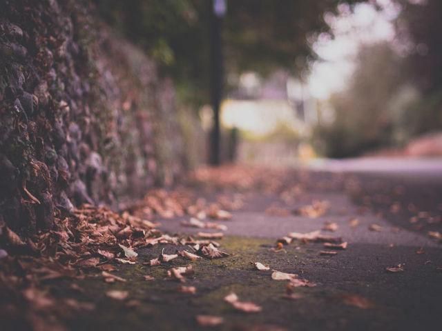 Завтра в Украине будет тепло и сухо Завтра в Украине будет тепло и сухо