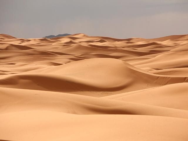 Від спраги померли десятки мігрантів, які переходили Сахару Від спраги померли десятки мігрантів, які переходили Сахару