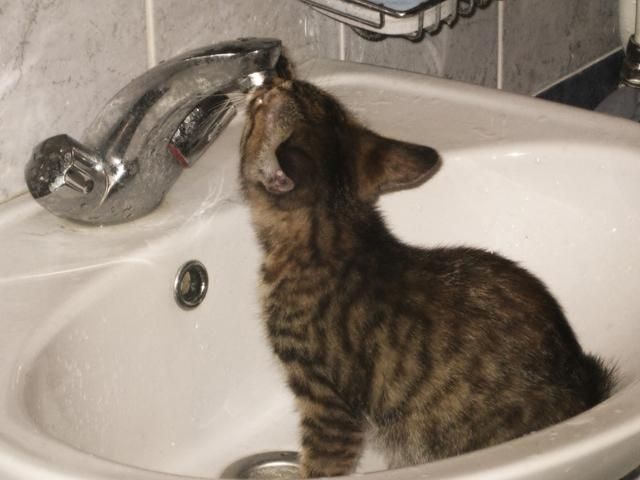 Львів’яни залишаться без води Львів’яни залишаться без води