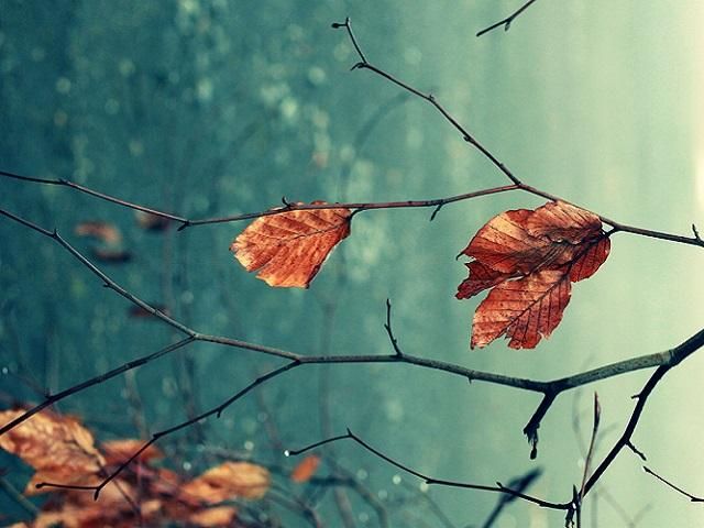 Сьогодні в Україні очікується похолодання - 31 жовтня 2013 - Телеканал новин 24 Сьогодні в Україні очікується похолодання - 31 жовтня 2013 - Телеканал новин 24