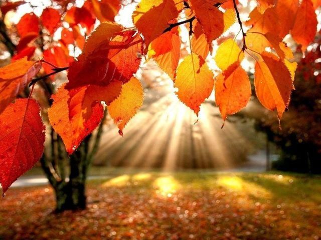 Завтра лише на заході України буде тепло Завтра лише на заході України буде тепло