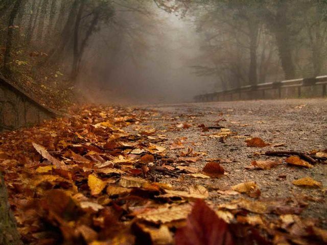 У суботу в Україні — туман, в неділю — дощі та потепління У суботу в Україні — туман, в неділю — дощі та потепління