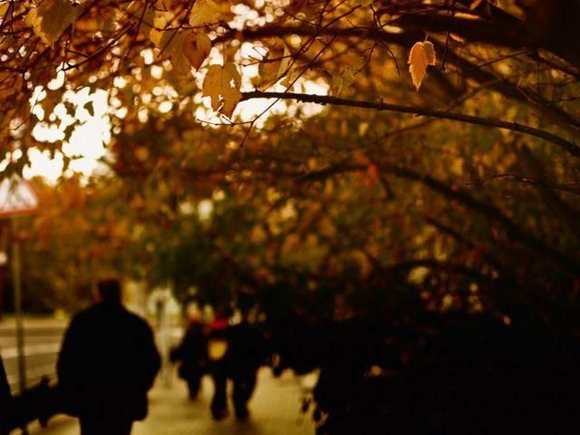 У Києві зимовий холод розпочнеться 11 листопада У Києві зимовий холод розпочнеться 11 листопада