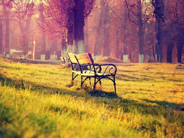 Завтра в Україні температура повітря підвищиться до +22 градусів Завтра в Україні температура повітря підвищиться до +22 градусів