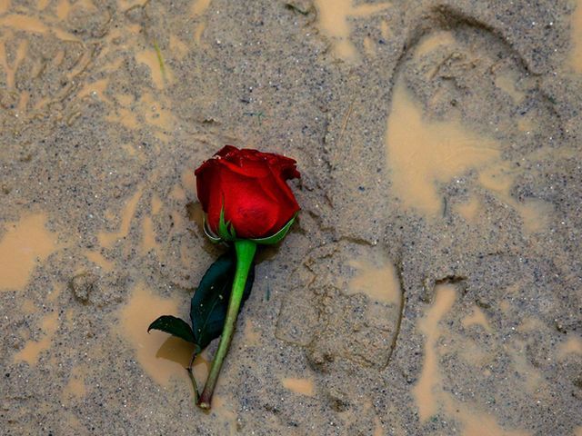 Грязюка зі всього світу (Фото) Грязюка зі всього світу (Фото)