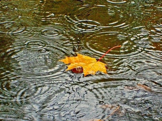 С завтрашнего дня в Украине погода ухудшится С завтрашнего дня в Украине погода ухудшится