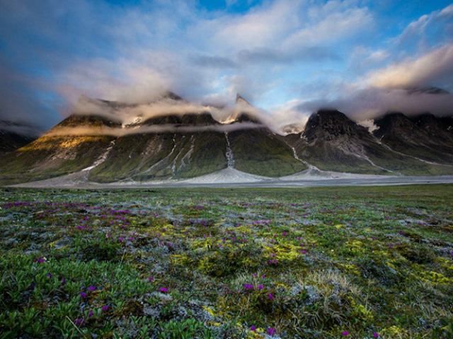 Неймовірні пейзажі Арктики (Фото)