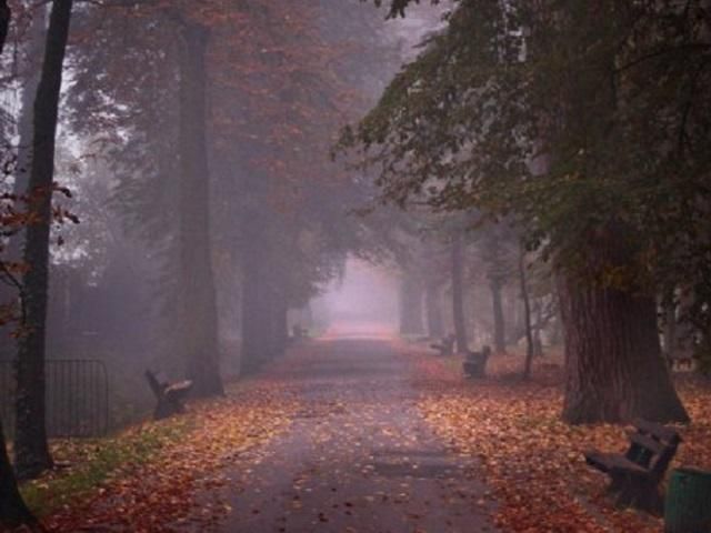 Сьогодні в Україні істотно похолодає Сьогодні в Україні істотно похолодає