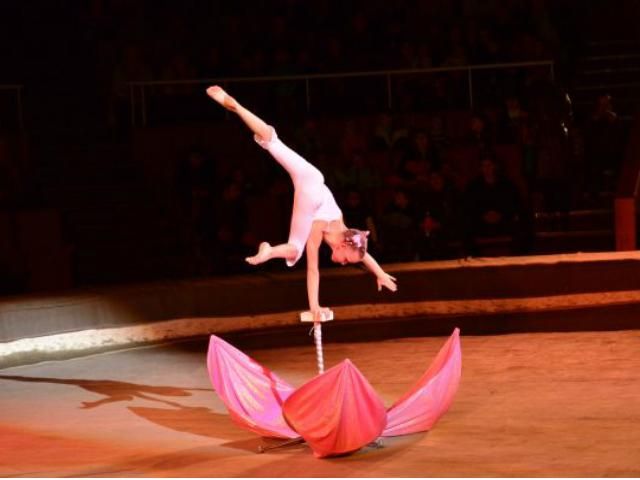 8-річна українка здобула "золото" на міжнародному цирковому фестивалі (Фото. Відео) 8-річна українка здобула "золото" на міжнародному цирковому фестивалі (Фото. Відео)