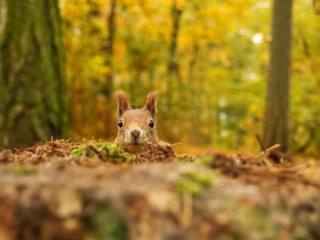 Завтра в Украине дожди прекратятся и потеплеет Завтра в Украине дожди прекратятся и потеплеет