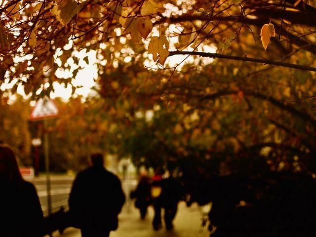 В Украине сегодня – существенное похолодание В Украине сегодня – существенное похолодание