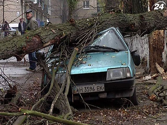 На Донеччині "нічиє" дерево придавило автівку