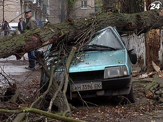 В Донецкой области "ничье" дерево придавило автомобиль