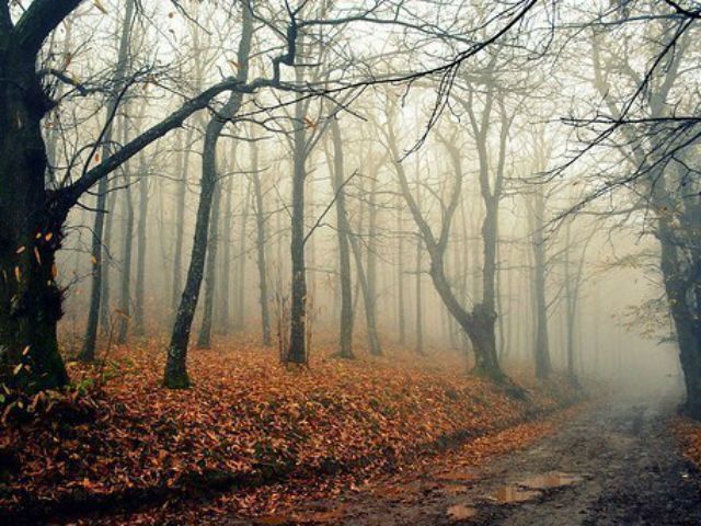 Сегодня в Украине – холодно и влажно Сегодня в Украине – холодно и влажно