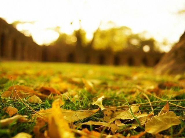 Антициклон обусловит в Украине сухую холодную погоду Антициклон обусловит в Украине сухую холодную погоду