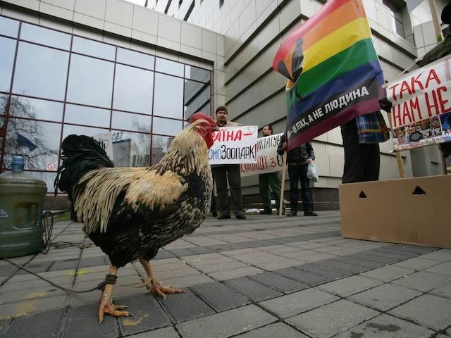У Києві пройшов пікет "проти перетворення України на гомо-зоопарк" У Києві пройшов пікет "проти перетворення України на гомо-зоопарк"