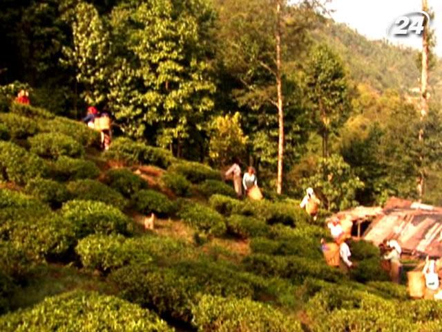 Чудеса света. Индия - страна со многими лицами Чудеса света. Индия - страна со многими лицами