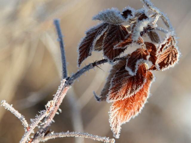 На выходных в Украине – небольшой мороз На выходных в Украине – небольшой мороз