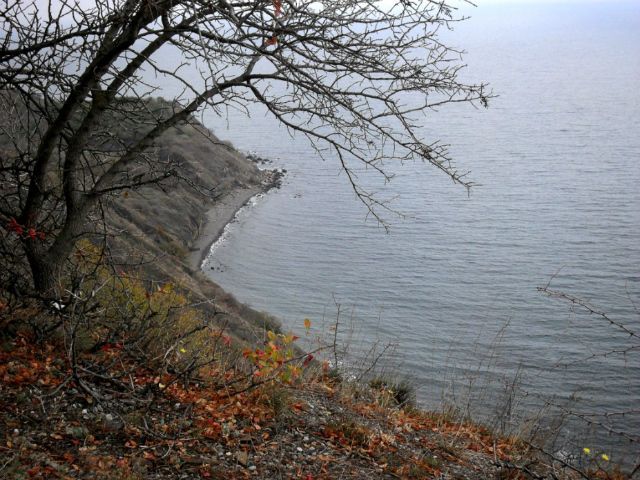 Неделя начнется с прохладной погоды Неделя начнется с прохладной погоды