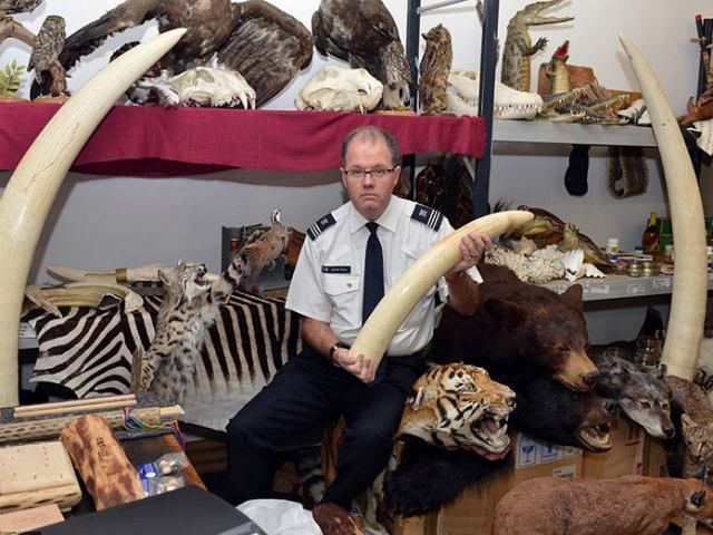 Коллекция контрабанды из аэропорта Лондона (Фото) Коллекция контрабанды из аэропорта Лондона (Фото)