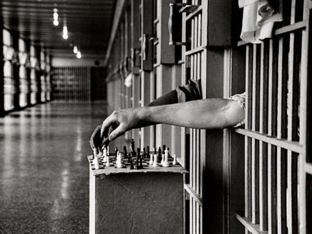 Вместе с Тимошенко правосудия избегут многие преступники, - регионал Вместе с Тимошенко правосудия избегут многие преступники, - регионал