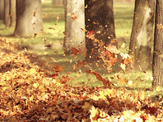 Сьогодні в Україні - тепла вітряна погода Сьогодні в Україні - тепла вітряна погода