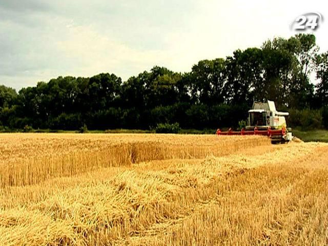 Україна може нагодувати хлібом понад 200 млн осіб, - зернотрейдери