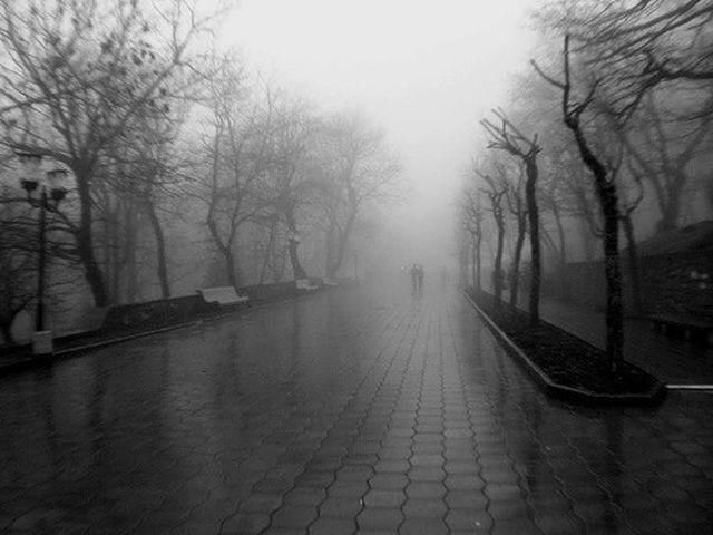 Завтра в Україні очікуються дощі й тумани