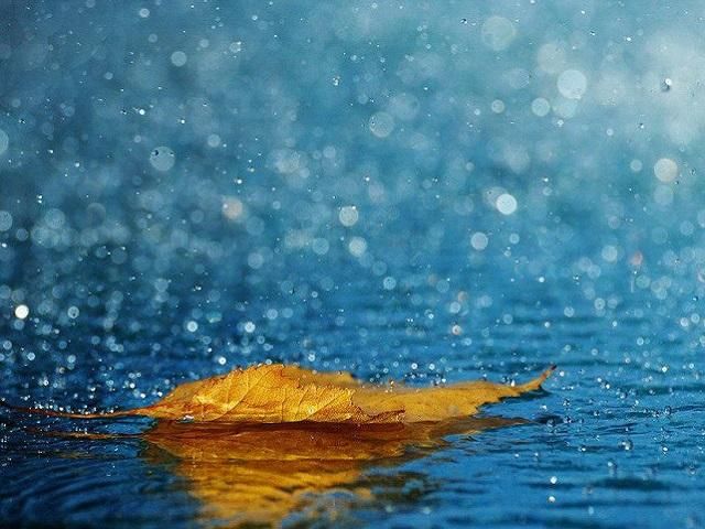 На выходных в Украине - дождь На выходных в Украине - дождь