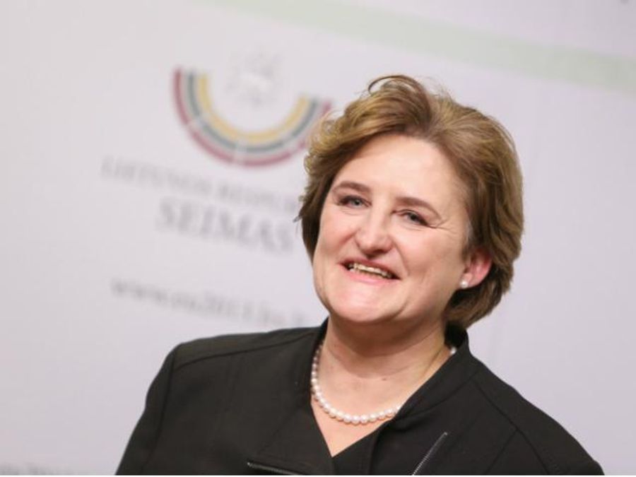 Руководство сейма Литвы посетит киевский Евромайдан