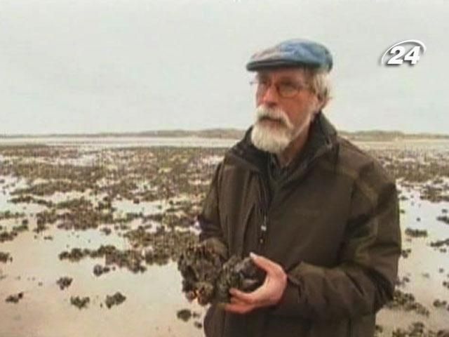 В океанах проходить тотальна зміна клімату В океанах проходить тотальна зміна клімату