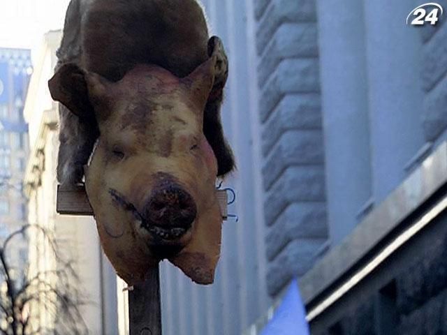 На митинг под Верховную Раду принесли свиную голову На митинг под Верховную Раду принесли свиную голову