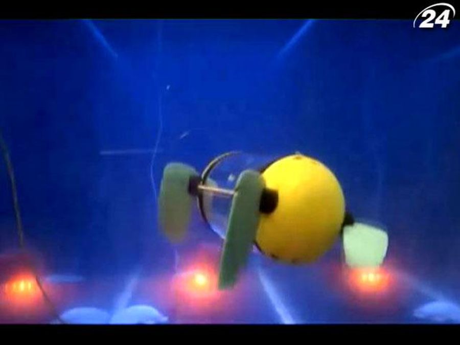 Росія запустила у продаж YotaPhone, в Естонії розробили робота-черепаху