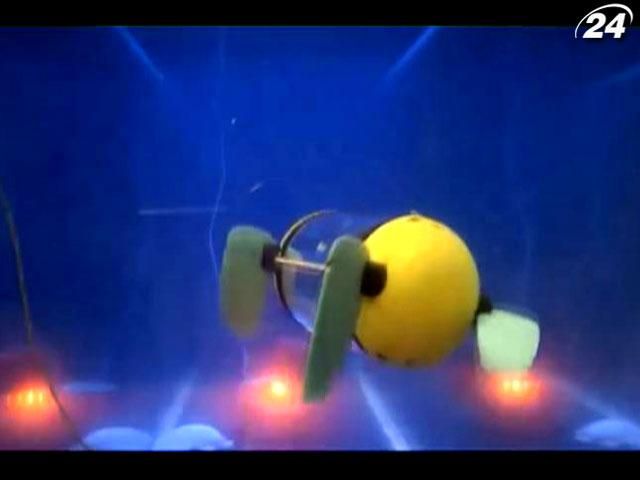 В России запустили в продажу YotaPhone, в Эстонии разработали робота-черепаху В России запустили в продажу YotaPhone, в Эстонии разработали робота-черепаху