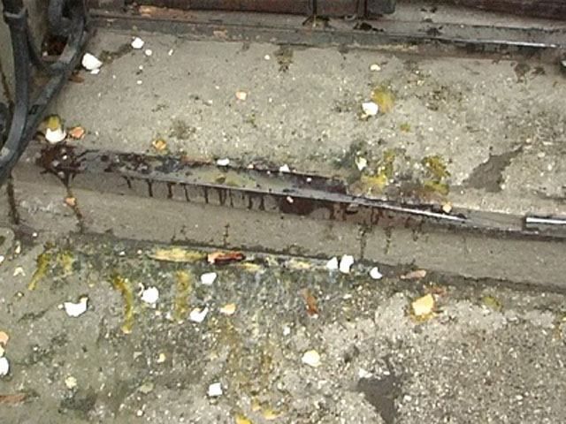 Беркутівці закидали пікетувальників яйцями Беркутівці закидали пікетувальників яйцями