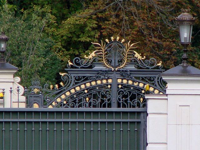 Активісти добралися до Межигір’я пішки Активісти добралися до Межигір’я пішки