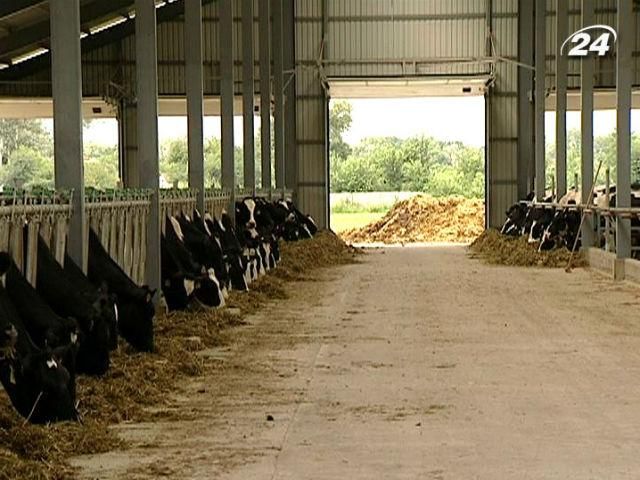 Вітчизняні аграрії підтримують європейський вибір Вітчизняні аграрії підтримують європейський вибір