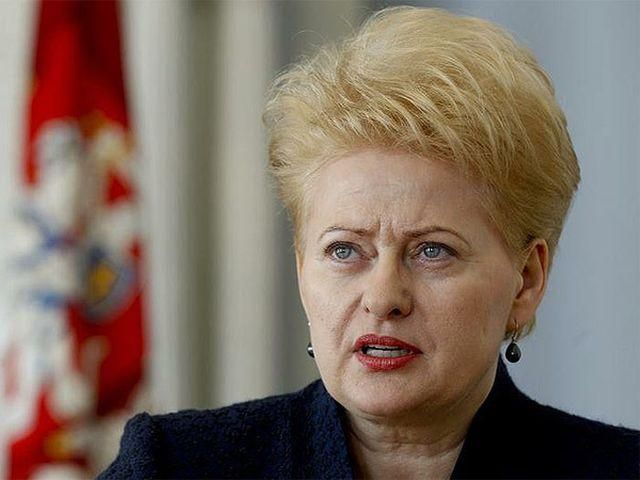 Президент Литвы не поедет на Олимпиаду в Сочи из-за давления на Украину