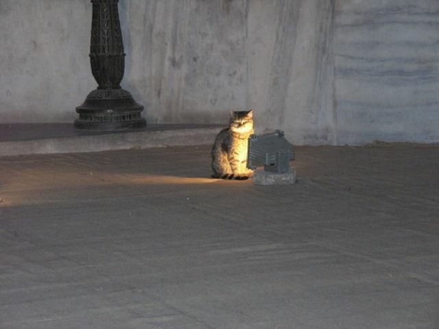 Сегодня в Украине - без осадков и тепло Сегодня в Украине - без осадков и тепло