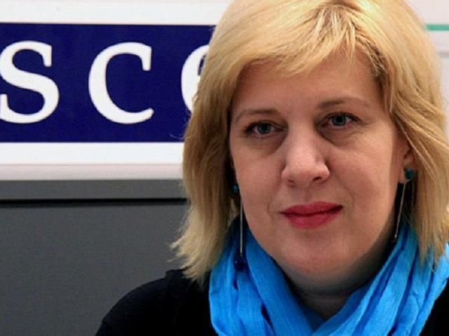 С нападениями на журналистов нельзя мириться, - продставитель ОБСЕ С нападениями на журналистов нельзя мириться, - продставитель ОБСЕ