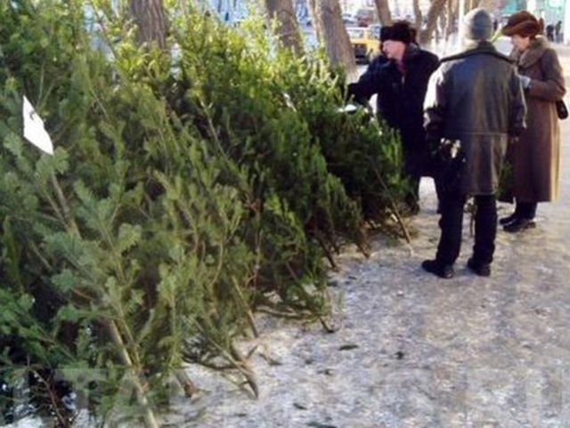 У Луганську міліція проводить операцію "Ялинка-2013" У Луганську міліція проводить операцію "Ялинка-2013"