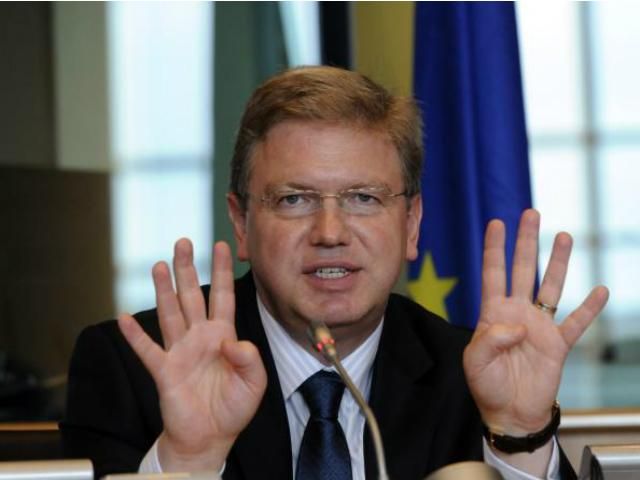 Совет Европы будет контролировать расследование избиения активистов Евромайдана, - Фюле
