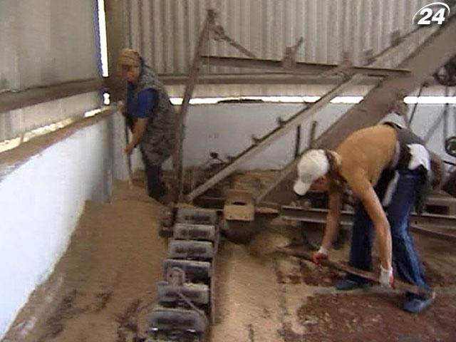 Найзатребуваніші працівники 2013 року – аграрії та IT-спеціалісти Найзатребуваніші працівники 2013 року – аграрії та IT-спеціалісти