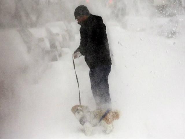 США накрив потужний сніговий шторм "Геркулес" США накрив потужний сніговий шторм "Геркулес"