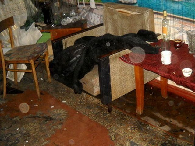 Трагедія на Луганщині: під час пожежі у 5-поверхівці загинули 2 людей (Фото) Трагедія на Луганщині: під час пожежі у 5-поверхівці загинули 2 людей (Фото)