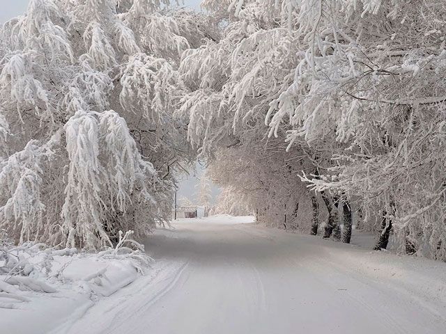 Справжня зима в Україні триватиме місяць, - синоптики