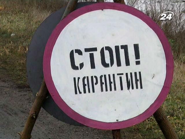 На Луганщині знайдено кабана, хворого на африканську чуму 