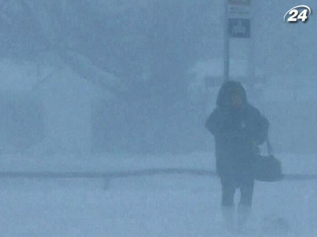 Специалисты подсчитали убытки от аномально холодной зимы в США Специалисты подсчитали убытки от аномально холодной зимы в США